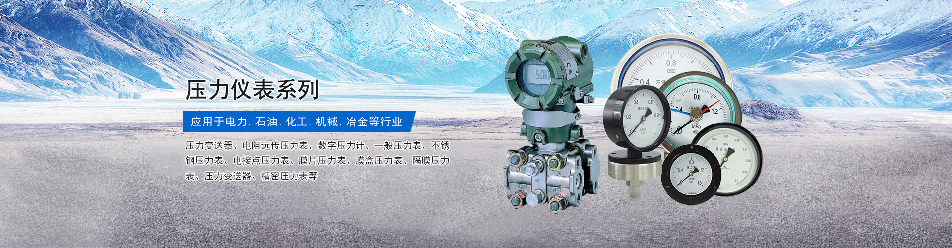 安徽远星压力仪表